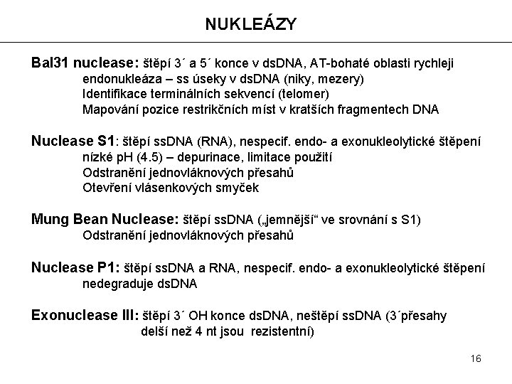 NUKLEÁZY Bal 31 nuclease: štěpí 3´ a 5´ konce v ds. DNA, AT-bohaté oblasti