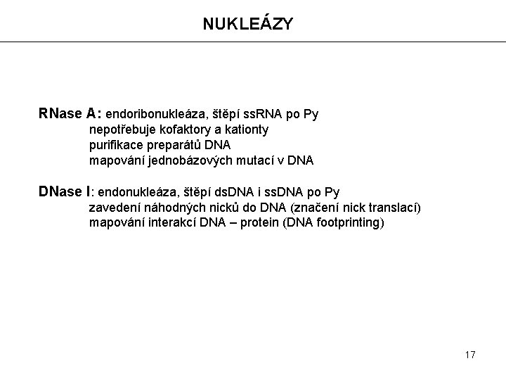 NUKLEÁZY RNase A: endoribonukleáza, štěpí ss. RNA po Py nepotřebuje kofaktory a kationty purifikace