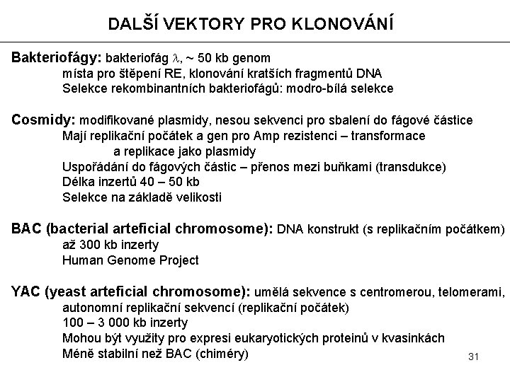 DALŠÍ VEKTORY PRO KLONOVÁNÍ Bakteriofágy: bakteriofág l, ~ 50 kb genom místa pro štěpení