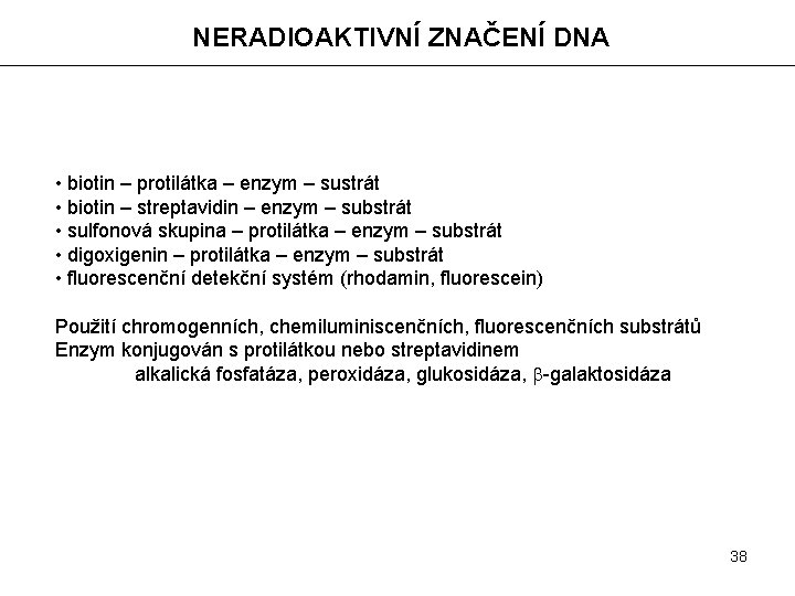 NERADIOAKTIVNÍ ZNAČENÍ DNA • biotin – protilátka – enzym – sustrát • biotin –