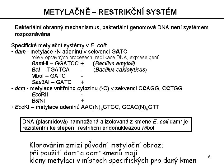 METYLAČNĚ – RESTRIKČNÍ SYSTÉM Bakteriální obranný mechanismus, bakteriální genomová DNA není systémem rozpoznávána Specifické