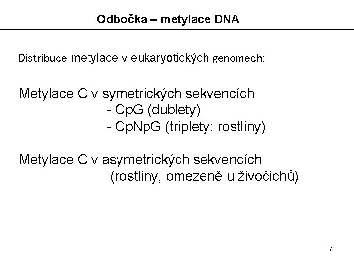 Odbočka – metylace DNA Distribuce metylace v eukaryotických genomech: Metylace C v symetrických sekvencích