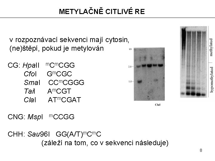METYLAČNĚ CITLIVÉ RE v rozpoznávací sekvenci mají cytosin, (ne)štěpí, pokud je metylován CG: Hpa.