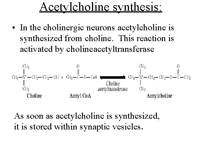 Acetylcholine synthesis: • In the cholinergic neurons acetylcholine is synthesized from choline. This reaction Acetylcholine synthesis: • In the cholinergic neurons acetylcholine is synthesized from choline. This reaction