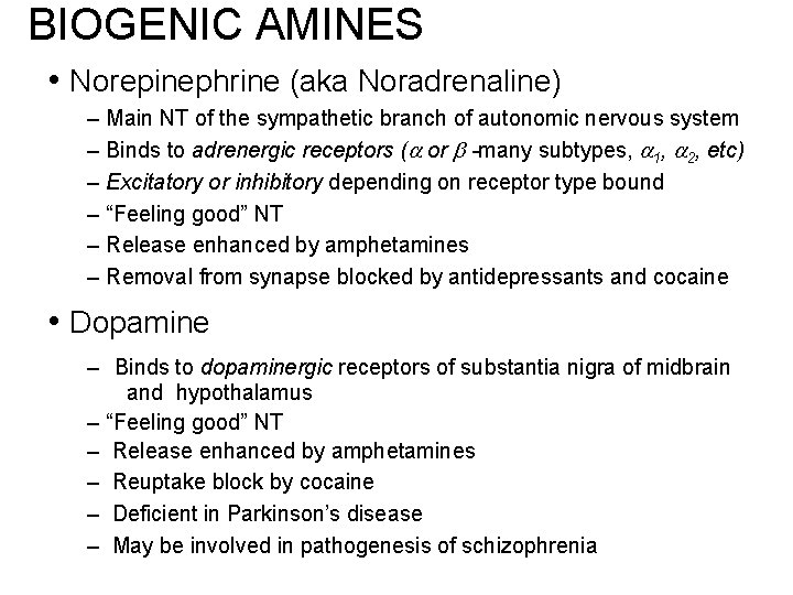 BIOGENIC AMINES • Norepinephrine (aka Noradrenaline) – Main NT of the sympathetic branch of BIOGENIC AMINES • Norepinephrine (aka Noradrenaline) – Main NT of the sympathetic branch of