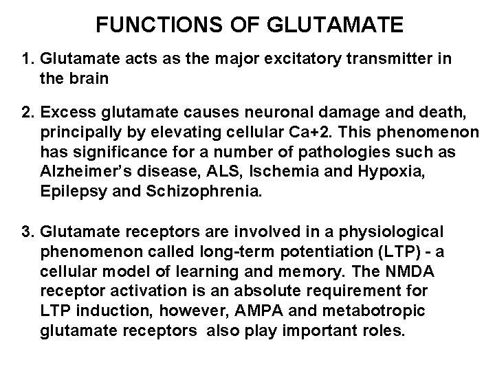 FUNCTIONS OF GLUTAMATE 1. Glutamate acts as the major excitatory transmitter in the brain FUNCTIONS OF GLUTAMATE 1. Glutamate acts as the major excitatory transmitter in the brain
