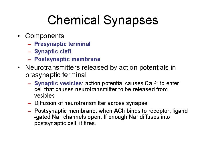 Chemical Synapses • Components – Presynaptic terminal – Synaptic cleft – Postsynaptic membrane • Chemical Synapses • Components – Presynaptic terminal – Synaptic cleft – Postsynaptic membrane •