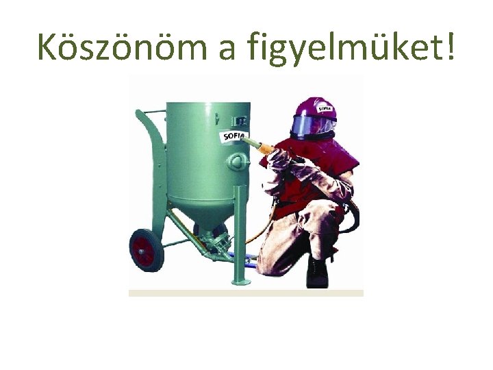 Köszönöm a figyelmüket! 