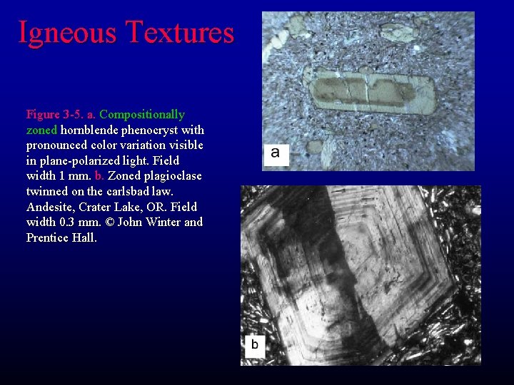 Igneous Textures Figure 3 -5. a. Compositionally zoned hornblende phenocryst with pronounced color variation Igneous Textures Figure 3 -5. a. Compositionally zoned hornblende phenocryst with pronounced color variation