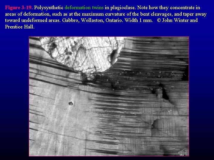 Figure 3 -19. Polysynthetic deformation twins in plagioclase. Note how they concentrate in areas Figure 3 -19. Polysynthetic deformation twins in plagioclase. Note how they concentrate in areas