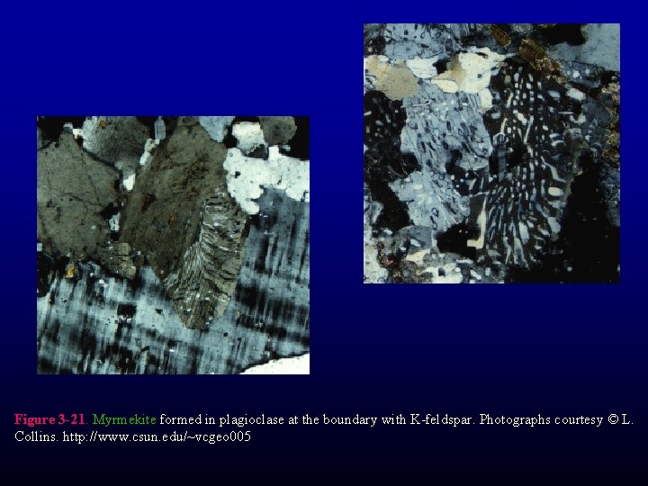 Figure 3 -21. Myrmekite formed in plagioclase at the boundary with K-feldspar. Photographs courtesy Figure 3 -21. Myrmekite formed in plagioclase at the boundary with K-feldspar. Photographs courtesy