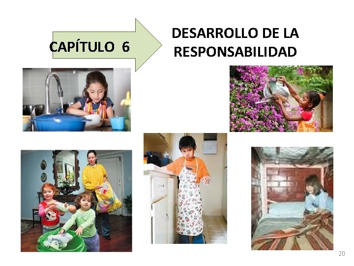 CAPÍTULO 6 DESARROLLO DE LA RESPONSABILIDAD 20 