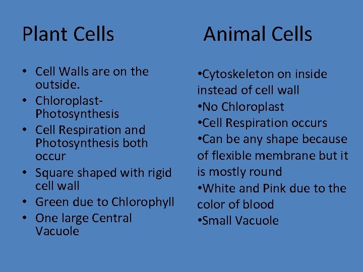 Plant Cells • Cell Walls are on the outside. • Chloroplast. Photosynthesis • Cell