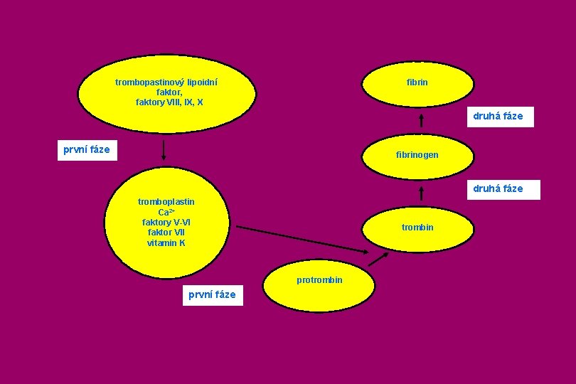 trombopastinový lipoidní faktor, faktory VIII, IX, X fibrin druhá fáze první fáze fibrinogen druhá