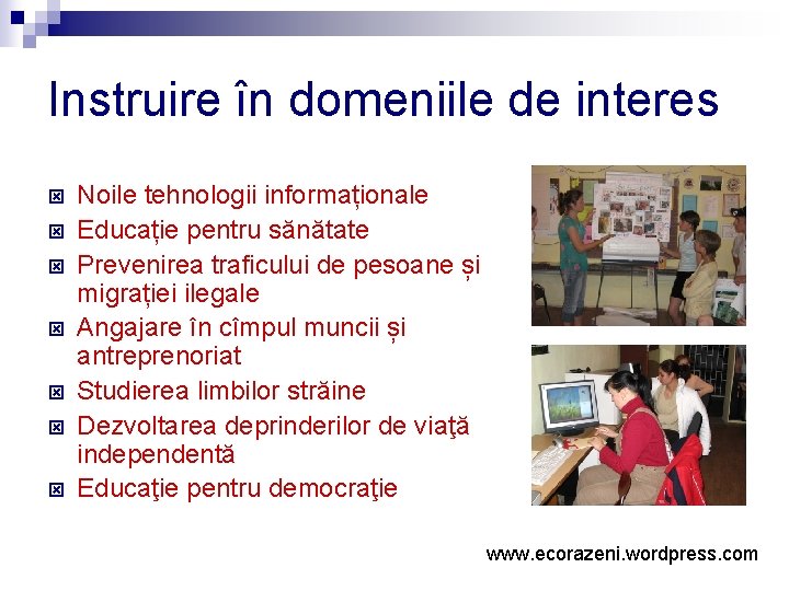 Instruire în domeniile de interes ý ý ý ý Noile tehnologii informaționale Educație pentru