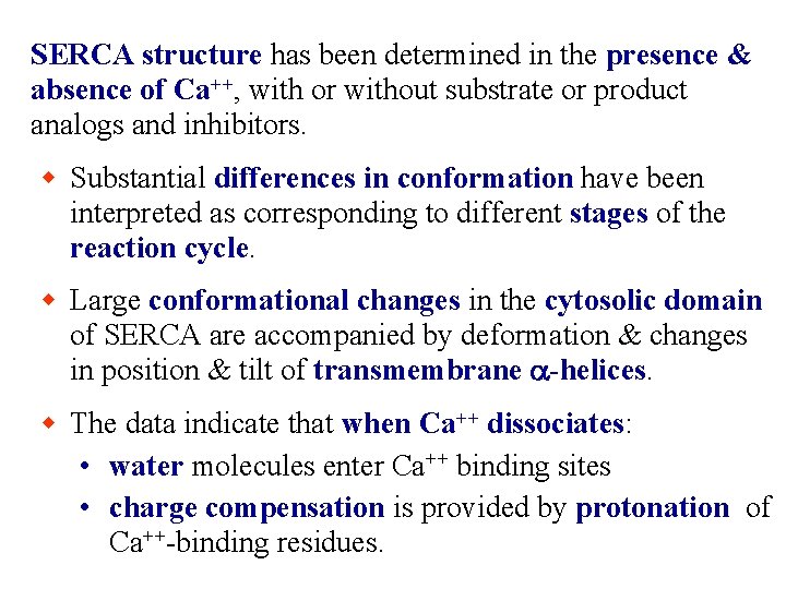 SERCA structure has been determined in the presence & absence of Ca++, with or