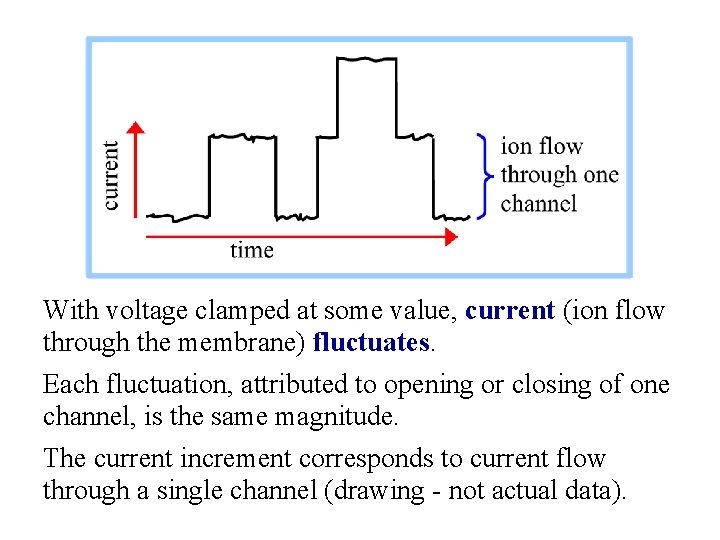 With voltage clamped at some value, current (ion flow through the membrane) fluctuates. Each
