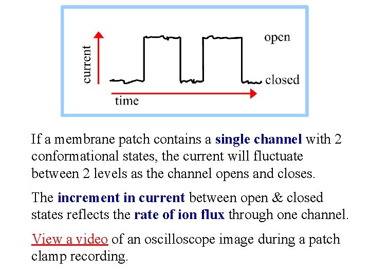 If a membrane patch contains a single channel with 2 conformational states, the current