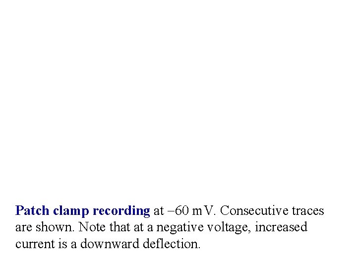 Patch clamp recording at -60 m. V. Consecutive traces are shown. Note that at