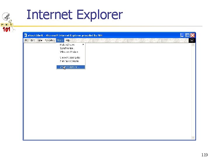 Internet Explorer 119 