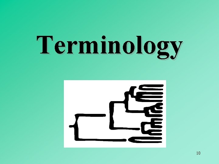 Terminology 10 