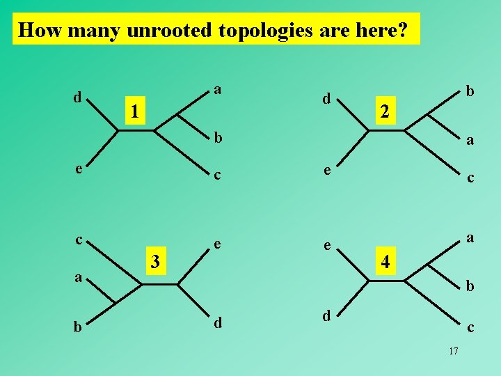How many unrooted topologies are here? d a 1 d b 2 b a