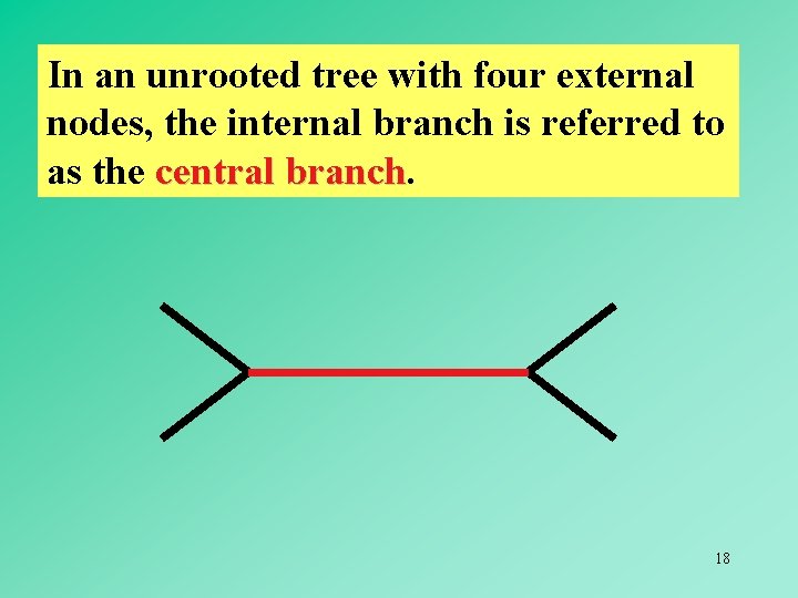 In an unrooted tree with four external nodes, the internal branch is referred to