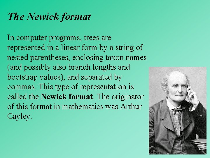 The Newick format In computer programs, trees are represented in a linear form by