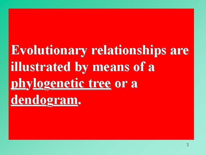 Evolutionary relationships are illustrated by means of a phylogenetic tree or a dendogram. 3