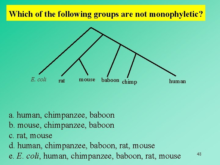 Which of the following groups are not monophyletic? E. coli rat mouse baboon chimp