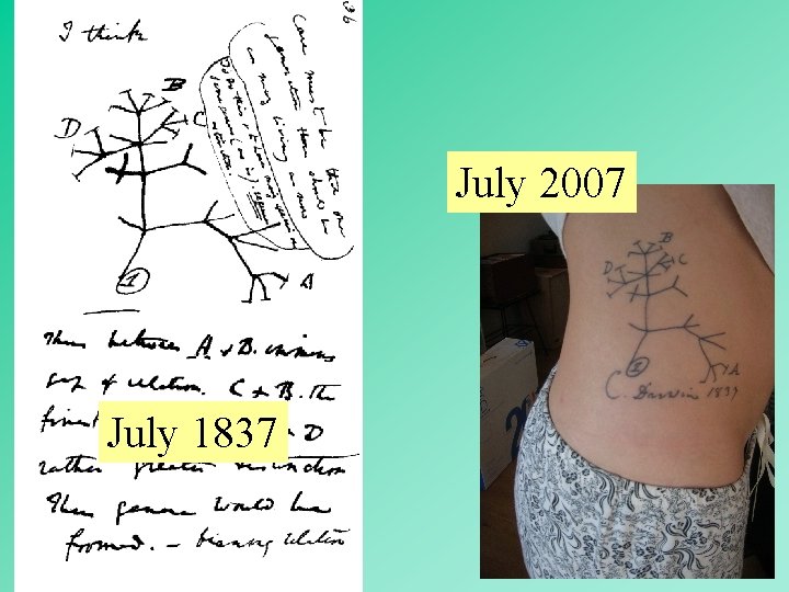 July 2007 July 1837 5 