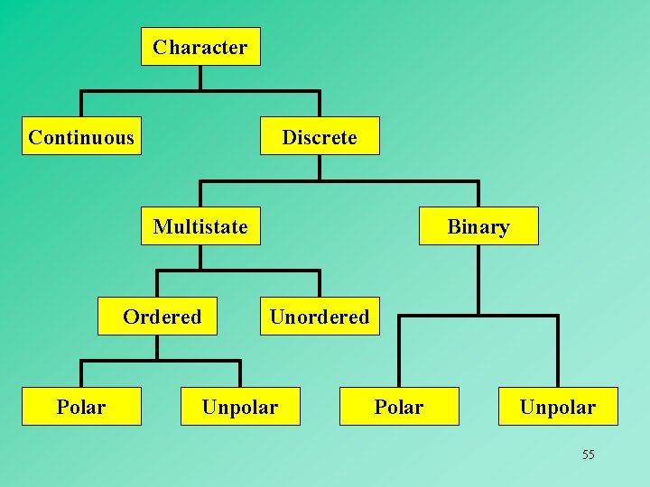 Character Continuous Discrete Multistate Ordered Polar Binary Unordered Unpolar Polar Unpolar 55 