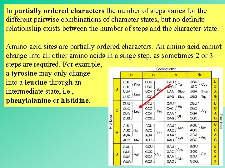 In partially ordered characters the number of steps varies for the different pairwise combinations