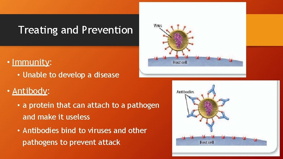 Treating and Prevention • Immunity: • Unable to develop a disease • Antibody: •