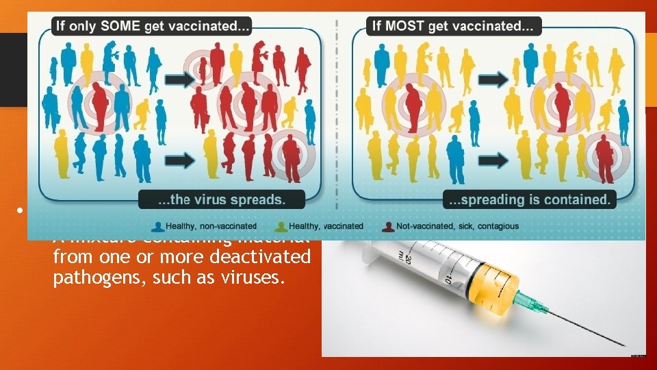 Vaccines • Vaccine: • A mixture containing material from one or more deactivated pathogens,