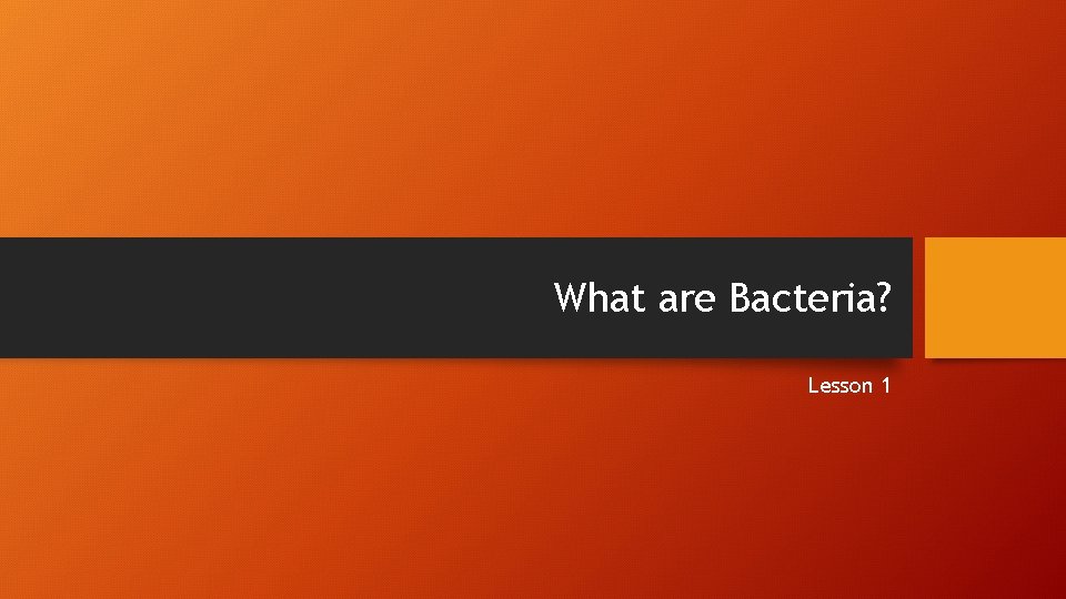 What are Bacteria? Lesson 1 