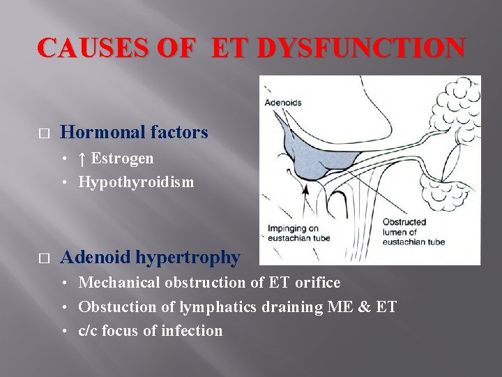 CAUSES OF ET DYSFUNCTION � Hormonal factors ↑ Estrogen • Hypothyroidism • � Adenoid
