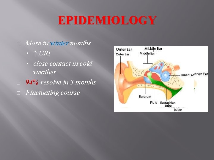 EPIDEMIOLOGY � � � More in winter months • ↑ URI • close contact