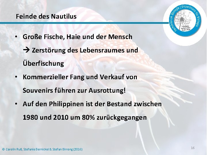 Feinde des Nautilus • Große Fische, Haie und der Mensch Zerstörung des Lebensraumes und