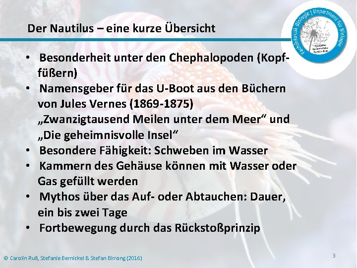 Der Nautilus – eine kurze Übersicht • Besonderheit unter den Chephalopoden (Kopffüßern) • Namensgeber