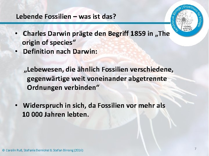 Lebende Fossilien – was ist das? • Charles Darwin prägte den Begriff 1859 in