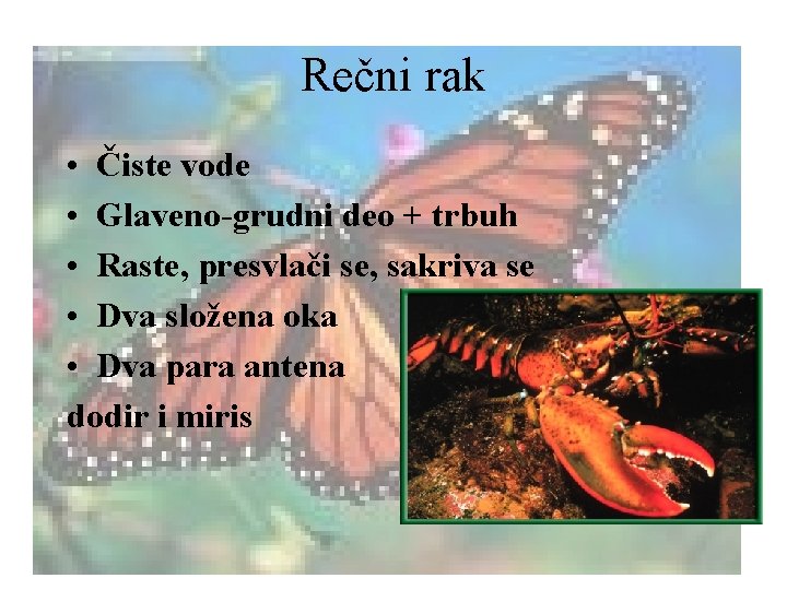 Rečni rak • Čiste vode • Glaveno-grudni deo + trbuh • Raste, presvlači se,