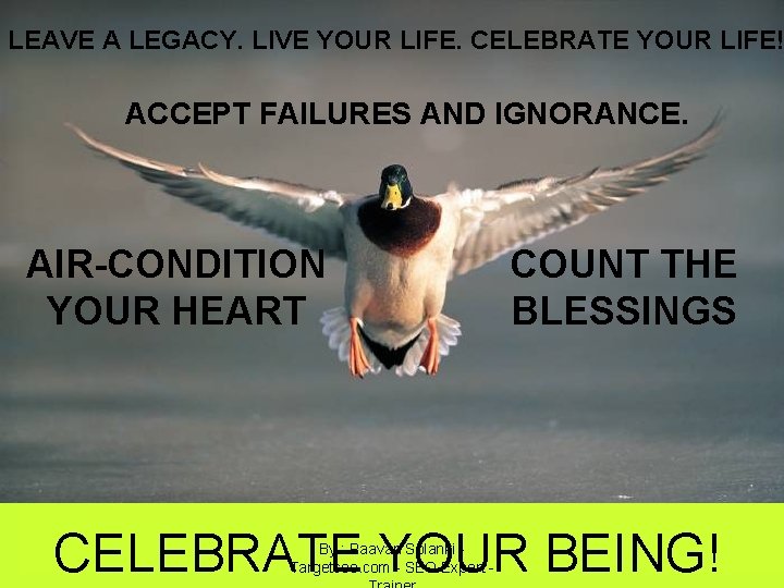 LEAVE A LEGACY. LIVE YOUR LIFE. CELEBRATE YOUR LIFE! ACCEPT FAILURES AND IGNORANCE. AIR-CONDITION