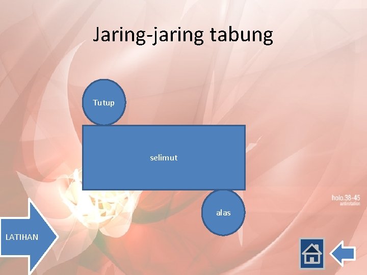 Jaring-jaring tabung Tutup selimut alas LATIHAN 