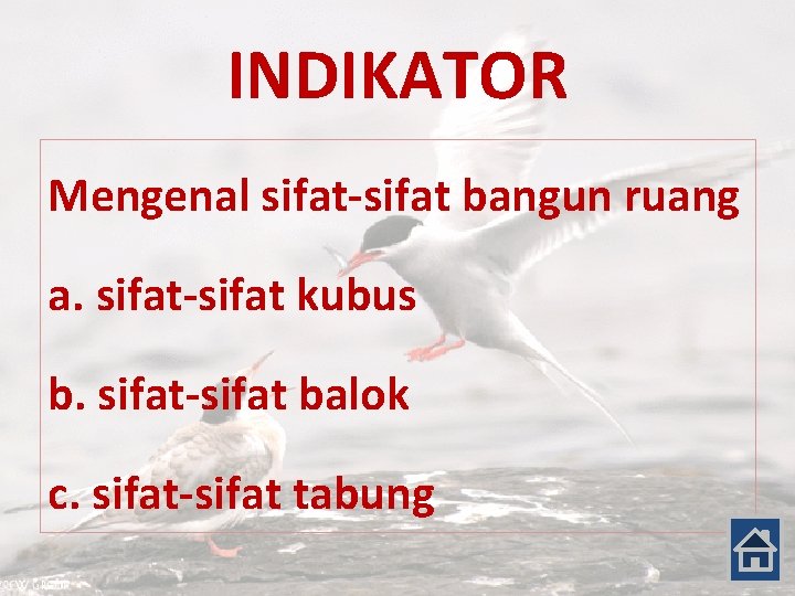 INDIKATOR Mengenal sifat-sifat bangun ruang a. sifat-sifat kubus b. sifat-sifat balok c. sifat-sifat tabung