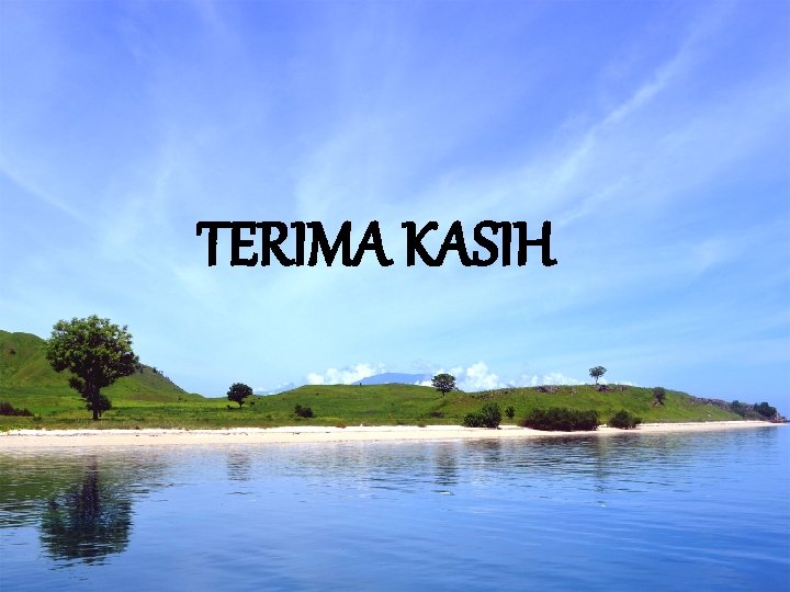TERIMA KASIH 