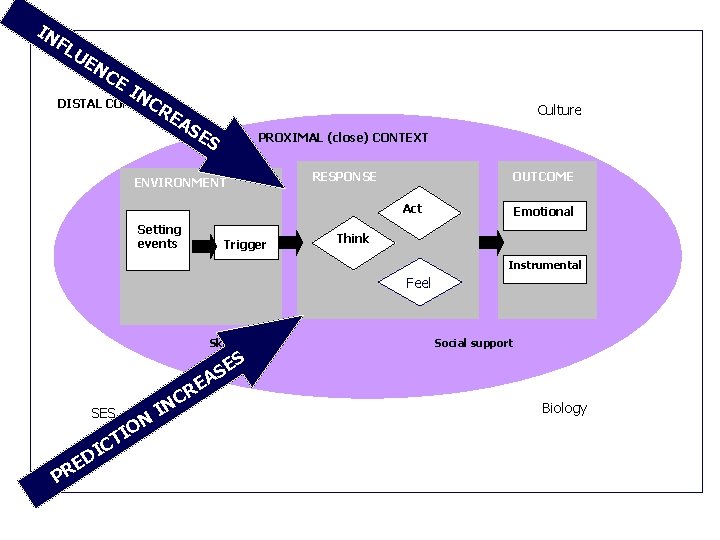 IN FL UE NC EI N C DISTAL CONTEXT RE Culture AS ES PROXIMAL