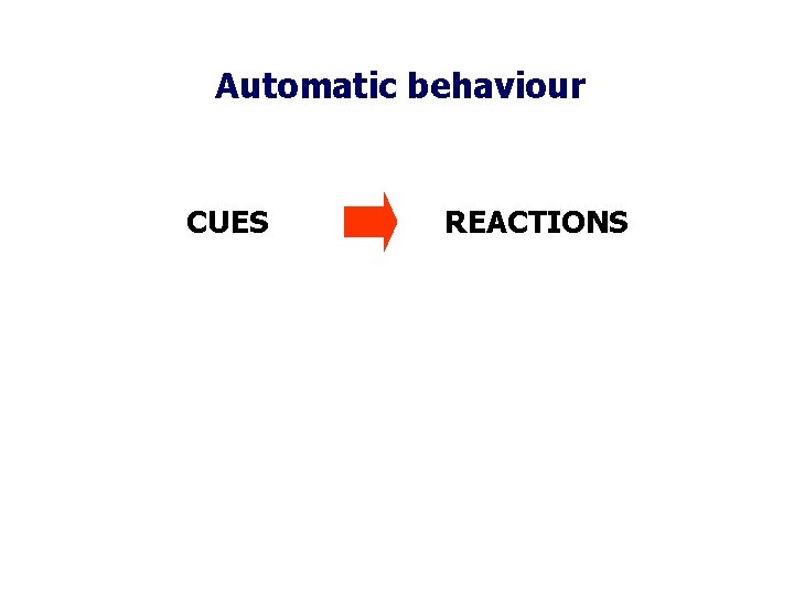 Automatic behaviour CUES REACTIONS 