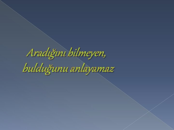 Aradığını bilmeyen, bulduğunu anlayamaz 