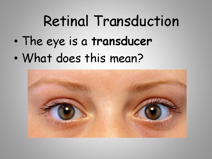 Retinal Transduction • The eye is a transducer • What does this mean? 